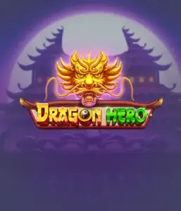 Отправьтесь в легендарное приключение с Dragon Hero от Pragmatic Play, представляющей захватывающую графику древних драконов и героических битв. Исследуйте землю, где магия встречается с триллом, с представляющими сокровищ, мистических существ и зачарованных оружий для захватывающего приключения.